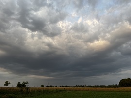 barlabasheni fotója