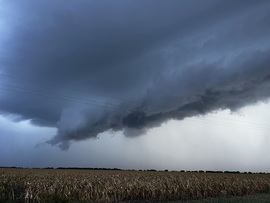 barlabasheni fotója