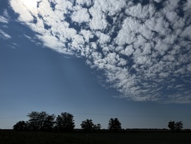 barlabasheni fotója