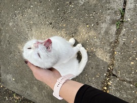 Azt hiszem egy kicsit álmos vagyok :) 