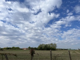 barlabasheni fotója