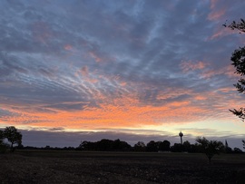 barlabasheni fotója