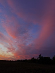 barlabasheni fotója