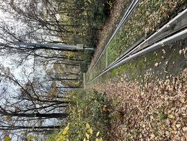 barlabasheni fotója