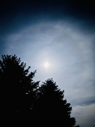 barlabasheni fotója