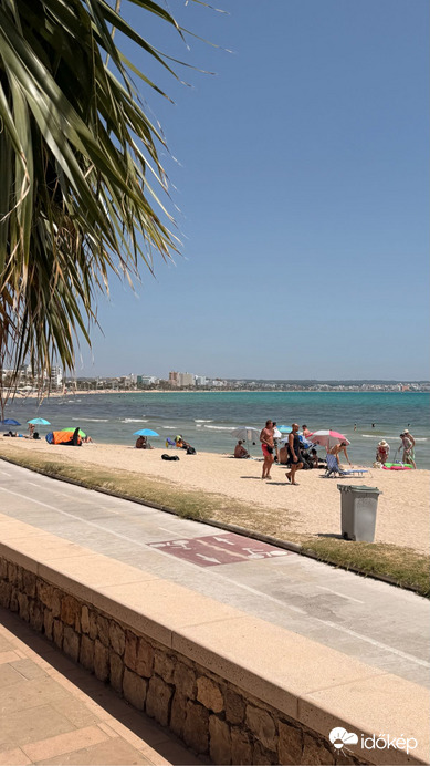 Son San Juan