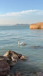 Balatonföldvár