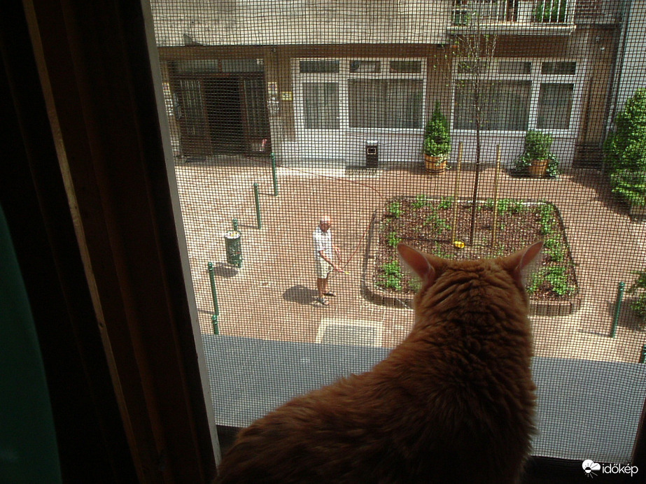 Az utca ellenőrzése