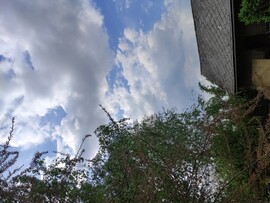 Cigánd