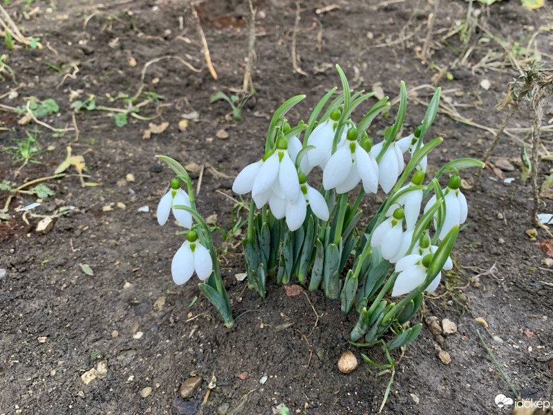 Budapest III.ker - Békásmegyer