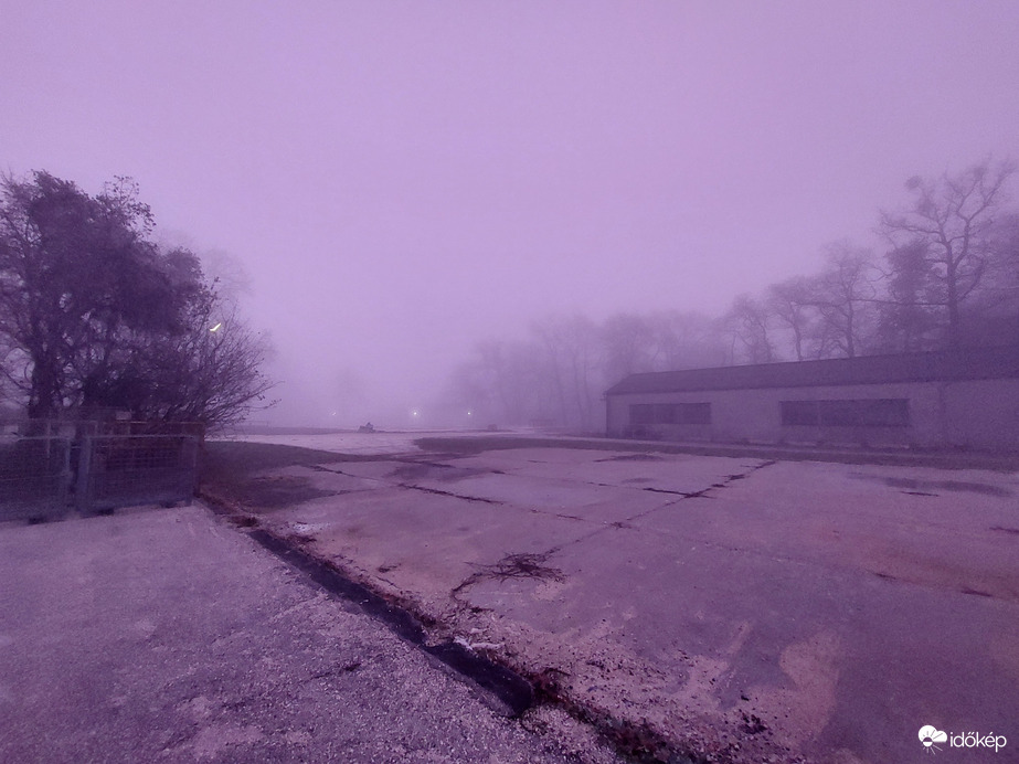 Veszprém Lila Videoton.