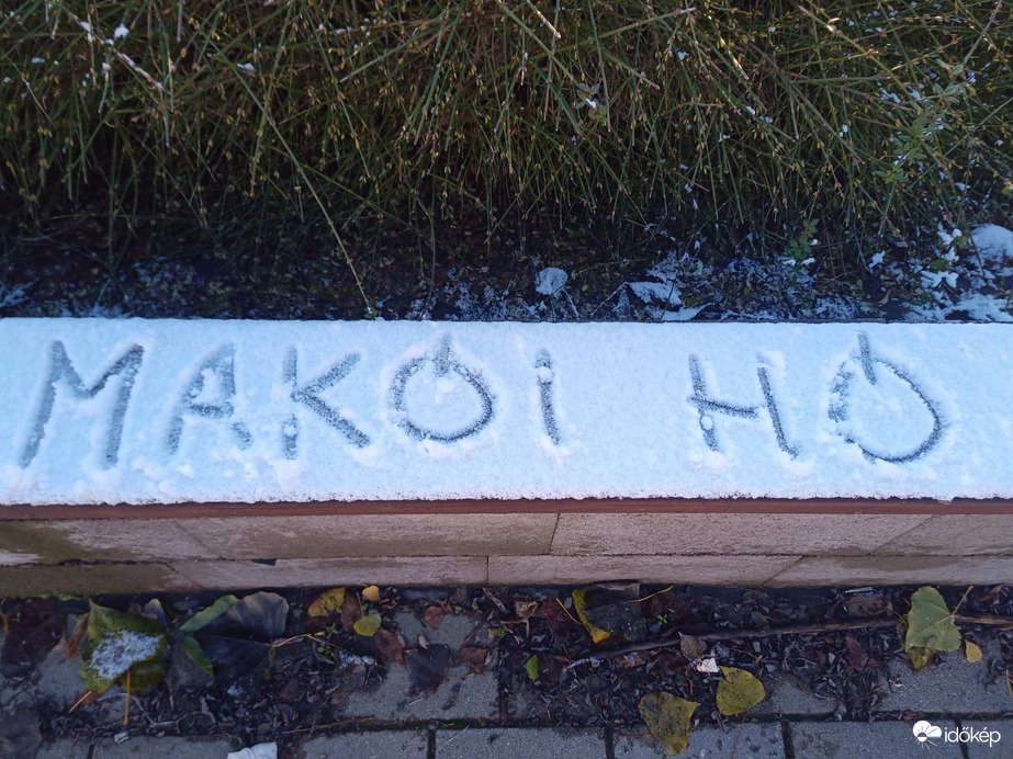 Makói hó