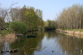 Csend