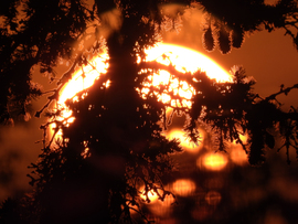 Csak meg ne gyújtsa!