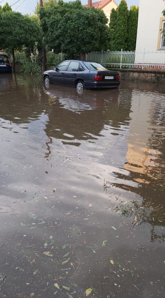 Mérienn Bene fotója