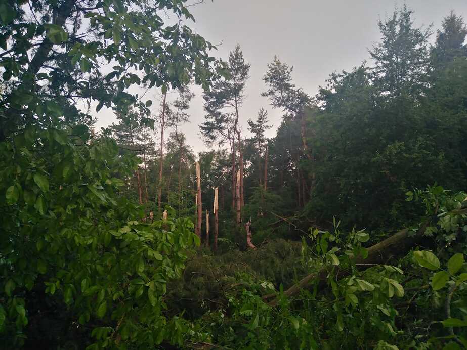 Downburst Felsőszölnökön 2.