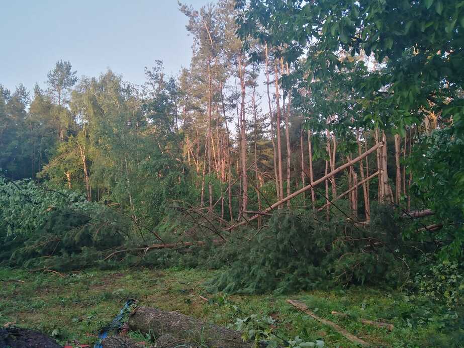 Downburst Felsőszölnökön 3.