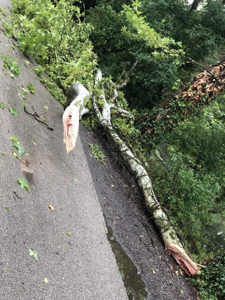 Ádám Mazán fotója