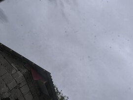 Tenk