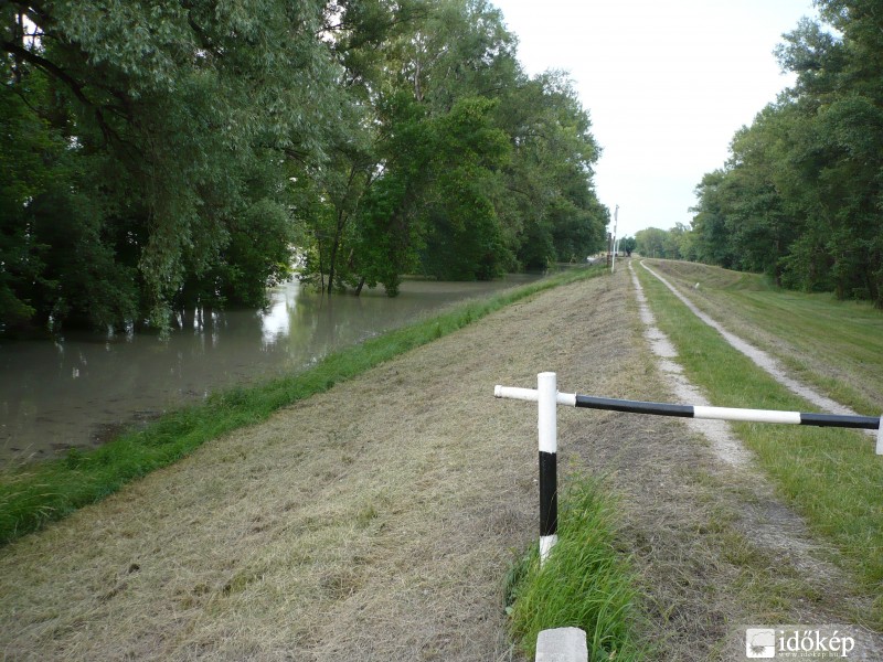 2013-06-05 Duna áradása Szőnyben