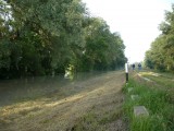 2013-06-06 Duna áradása Szőnyben