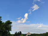 Andornaktálya