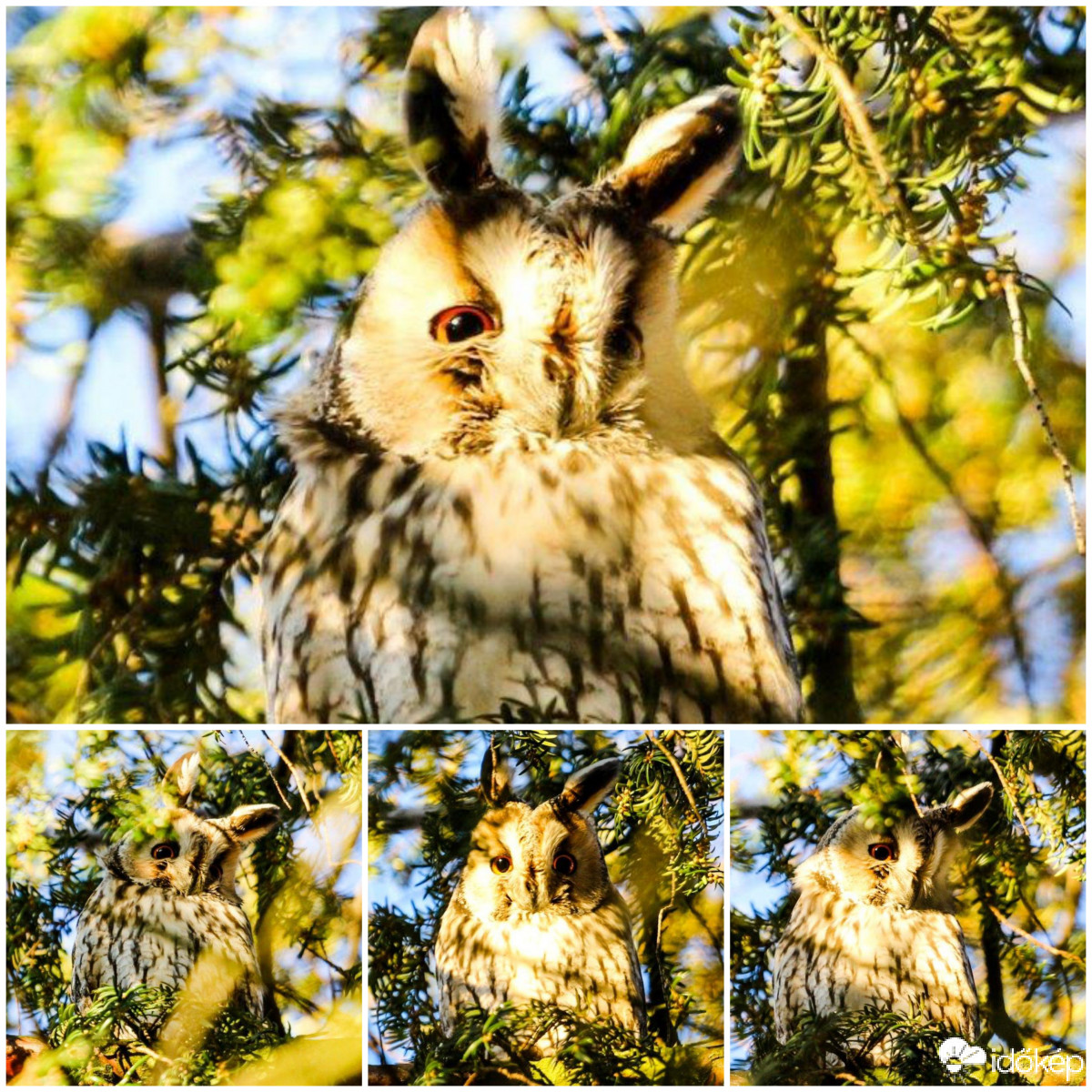 Tegnap még sütött a nap 