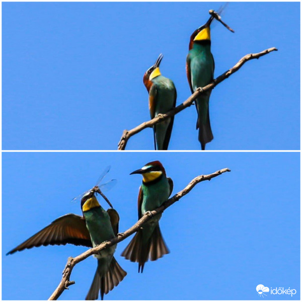 Kértem és megkaptam 