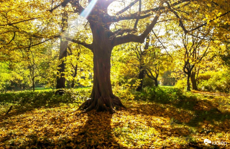 Itt van az Ősz, itt van újra...