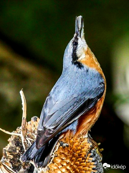 Így jobban csúszik 