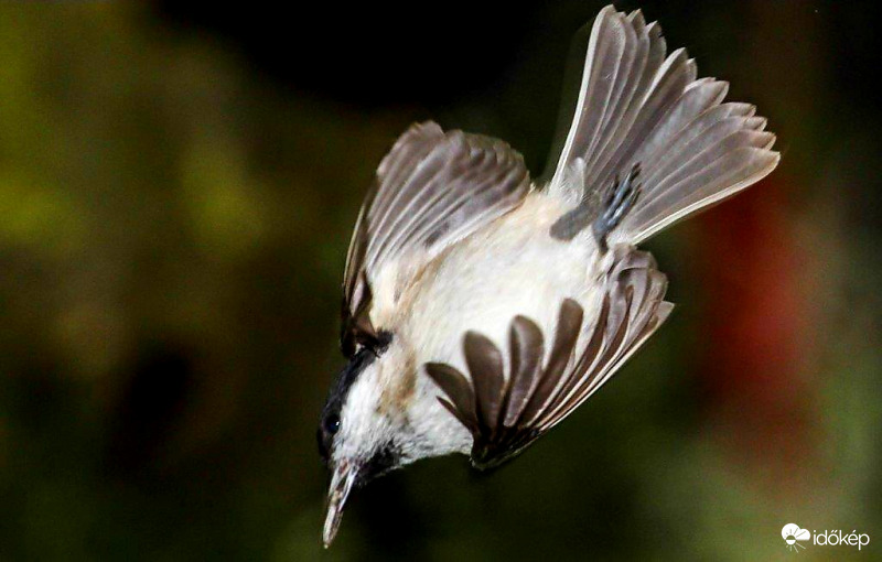Egy szemet kihúzok, majd gyorsan elhúzok 