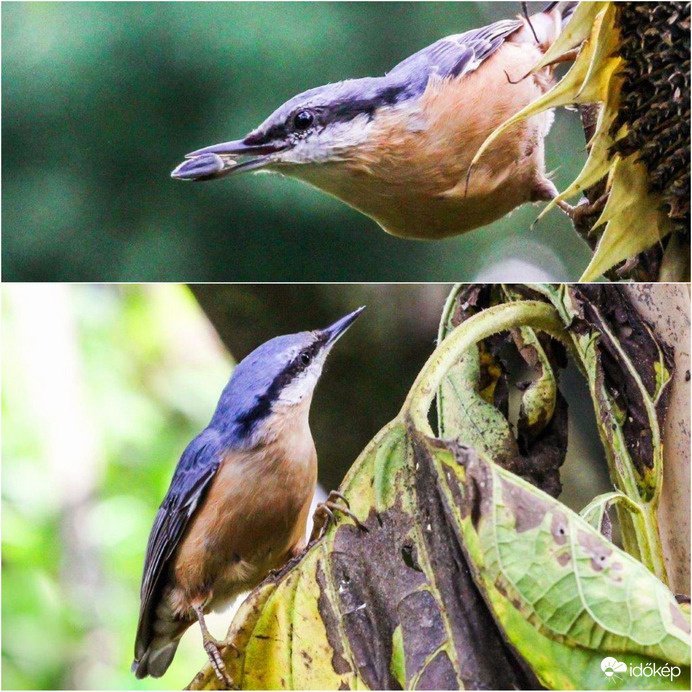 Nem hiába szemezek vele 