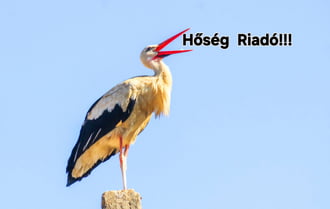 Fehér gólya 