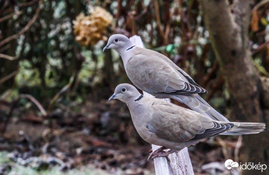Gondolkodol, vagy fázol, azért nem szólsz hozzám?