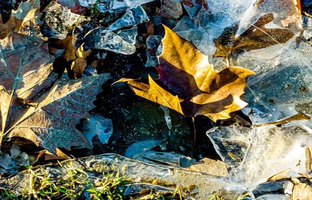 Száraz fagyos reggel 