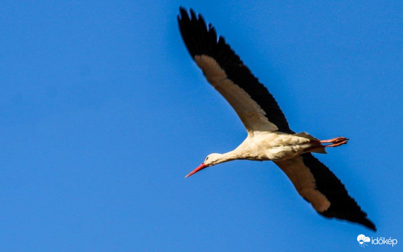 Maradj otthon! Száll mint a vírus a levegőbe 