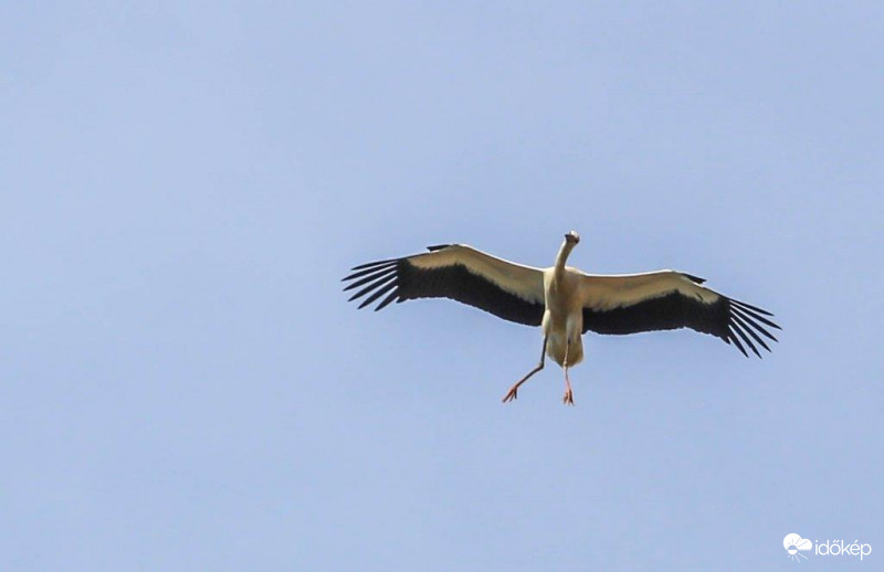 Ezt még gyakorolni kell 