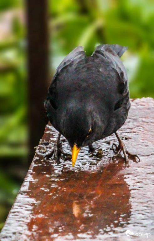 Tükröm tükröm...