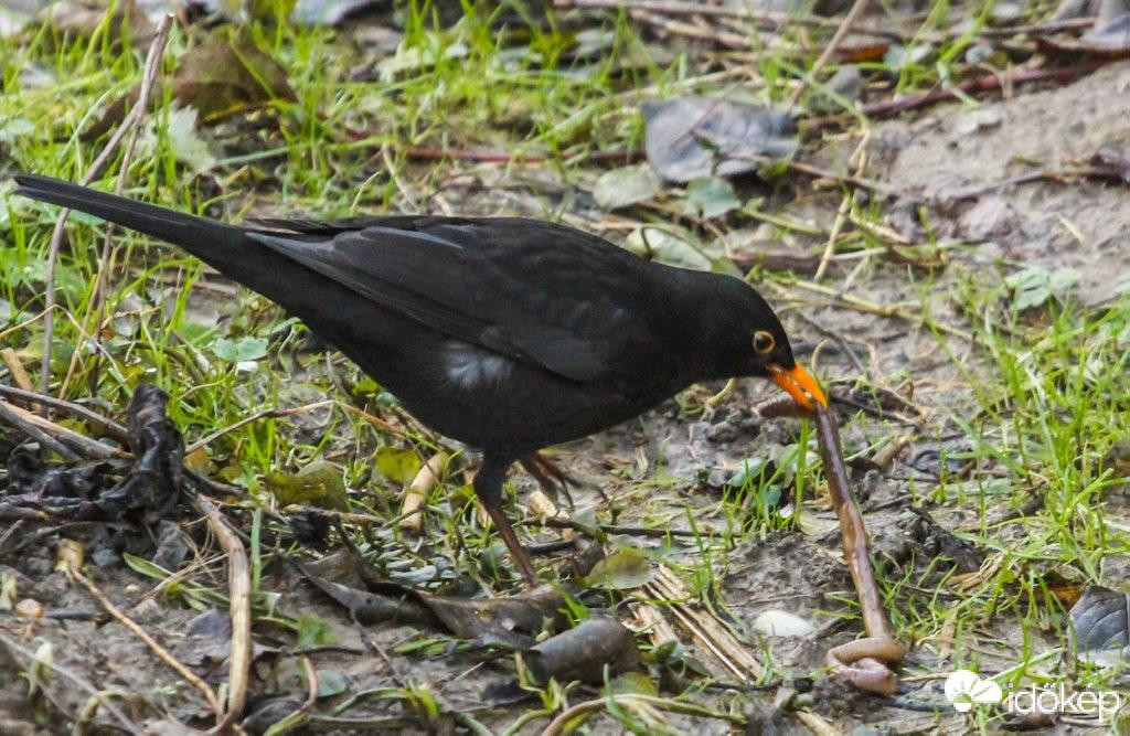 A végére akarok járni. Nagy fogás.