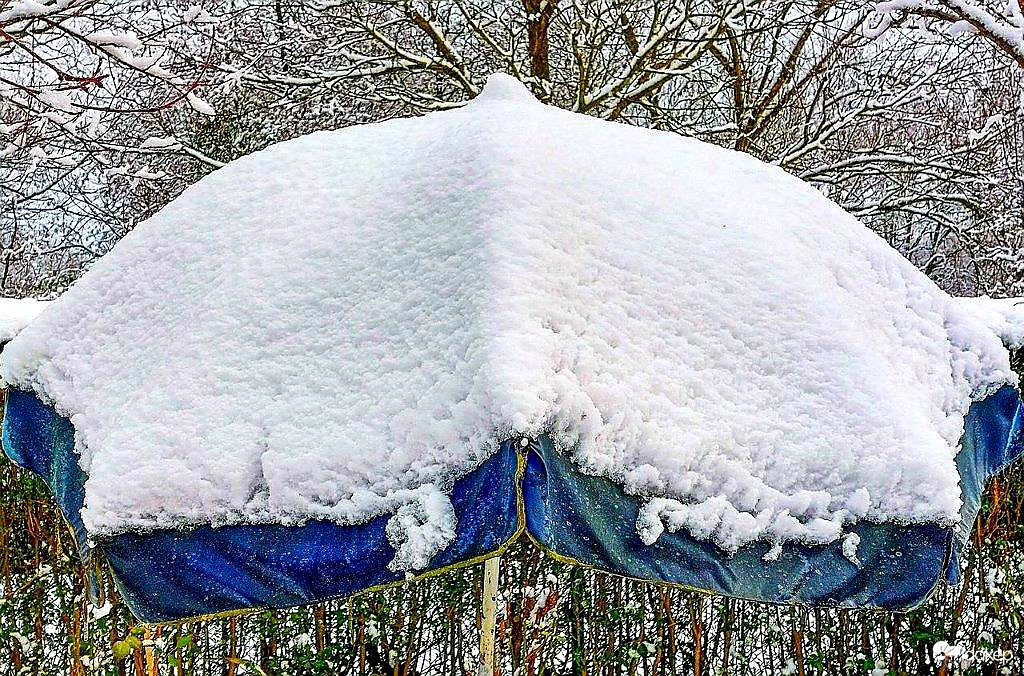 Négy évszakos napernyő 