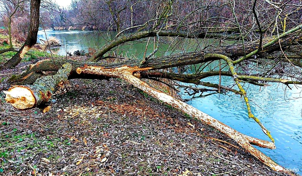 Tájkép Hód csata után a Rábán 