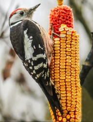 A héten már kitartok vele. Köszi!