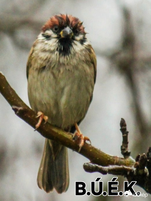 Én már Szilveszter reggelén el vagyok ázva! B.Ú.É.K. Mindenkinek!