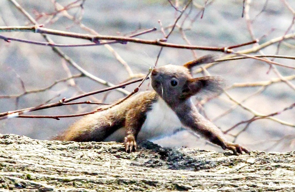 Szevasz, Miki vagyok!