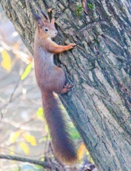 Nem láttalak mostanában!