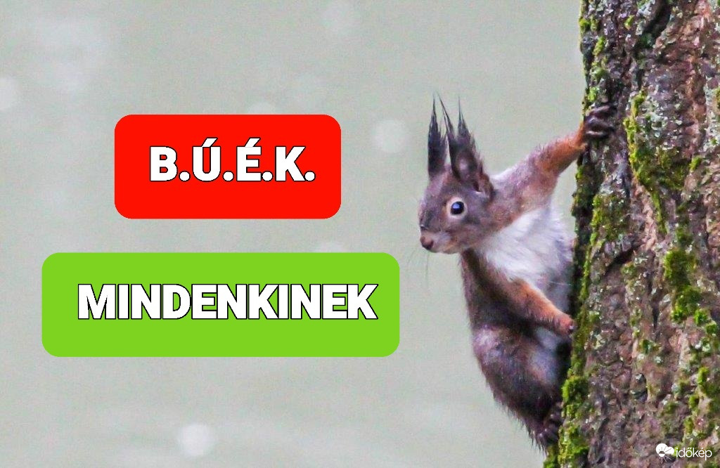 B.Ú.É.K. a Mókus is!