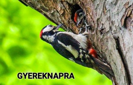 Apa és fia. Büszkék egymásra!