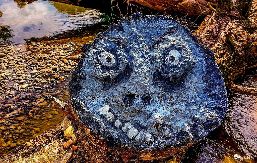 Csak ámulok és bámulok 