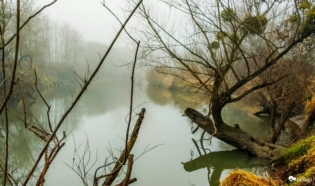 Ködös reggel 