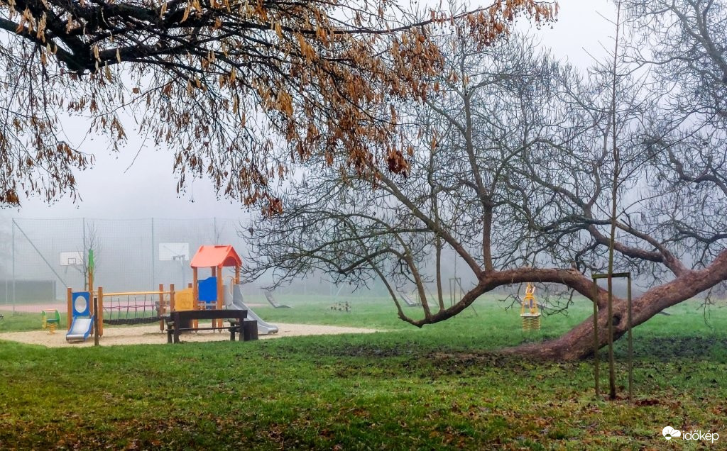 Egy kis szín a ködben. 